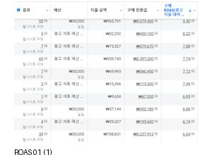 광고 세트별 ROAS 상세 표